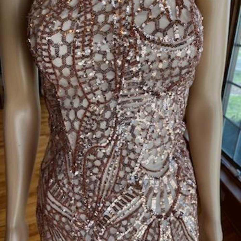 *Showpo Pink Rose Sequin Strapless Bodycon Formal Gown Pageant Prom Dress Size 6
